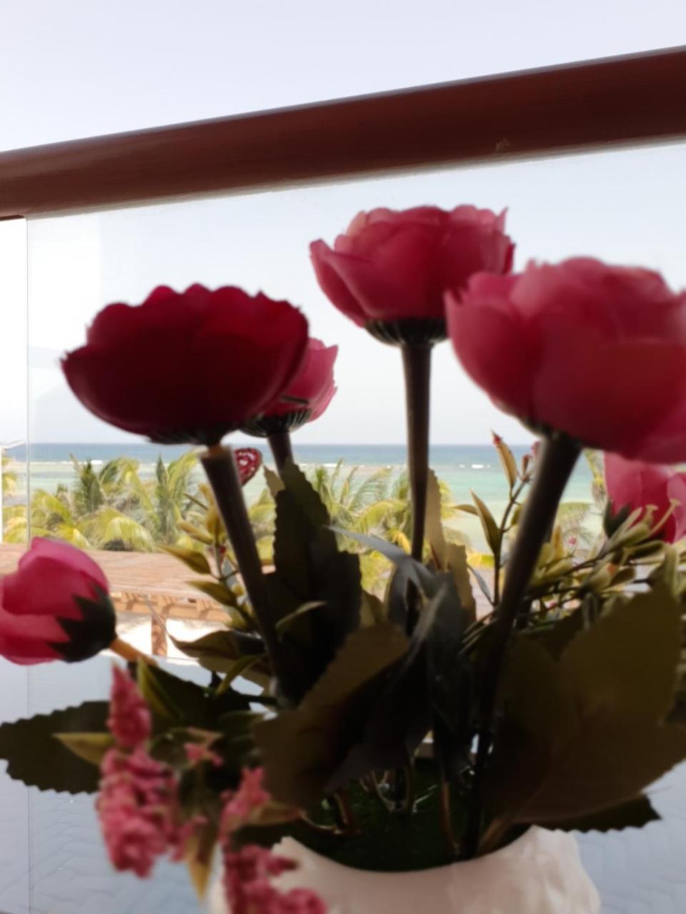 Aquastar By Rt Vacation Rentals Mahahual Ngoại thất bức ảnh